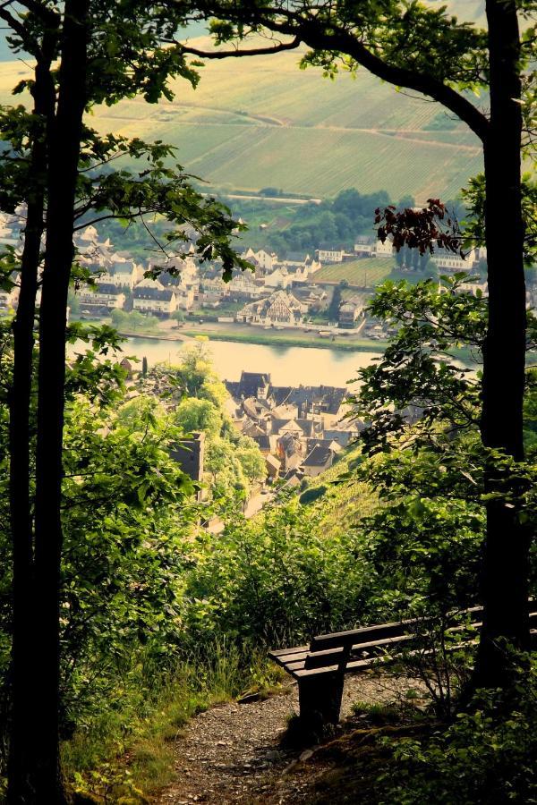 شقة Mosel Panorama زيل ان دير موسل المظهر الخارجي الصورة