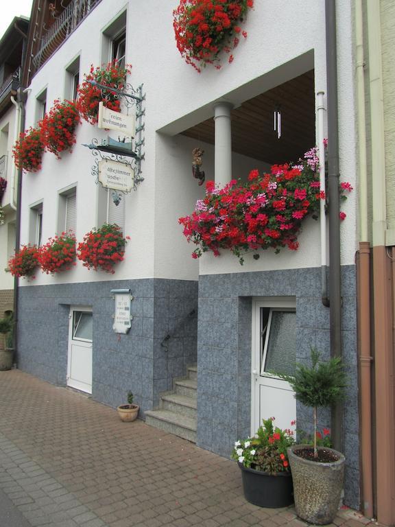 شقة Mosel Panorama زيل ان دير موسل المظهر الخارجي الصورة