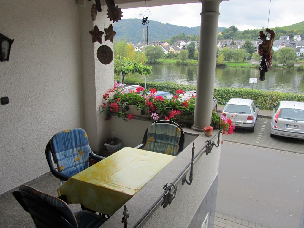 شقة Mosel Panorama زيل ان دير موسل المظهر الخارجي الصورة