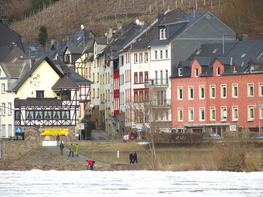 شقة Mosel Panorama زيل ان دير موسل المظهر الخارجي الصورة