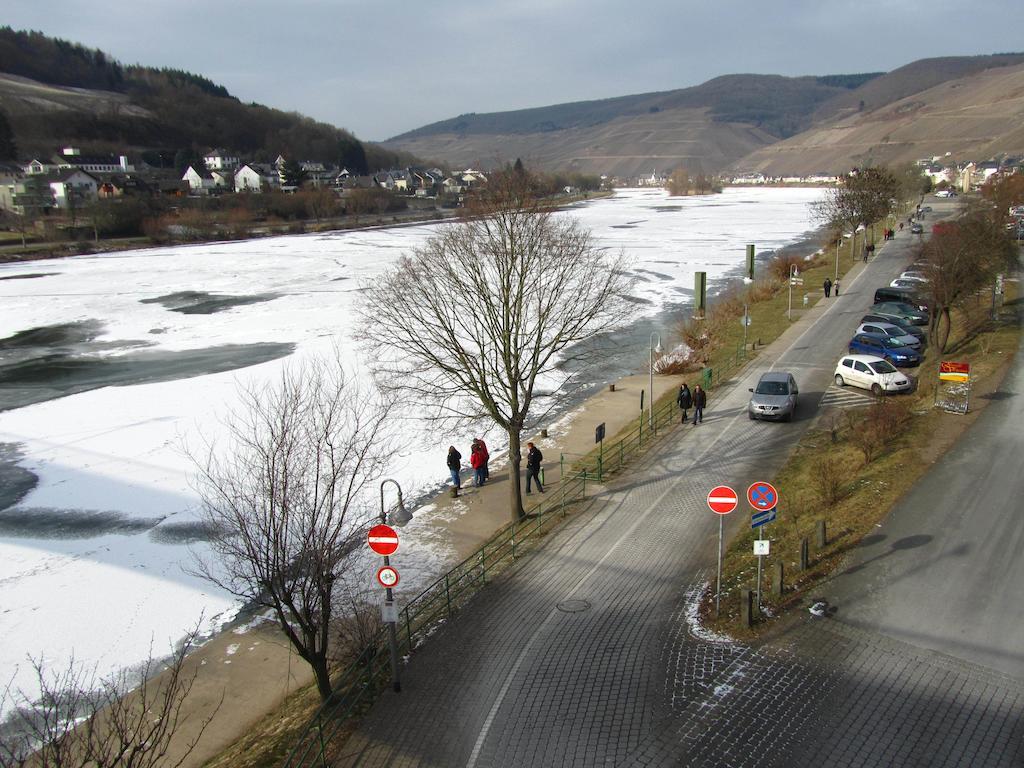 شقة Mosel Panorama زيل ان دير موسل المظهر الخارجي الصورة
