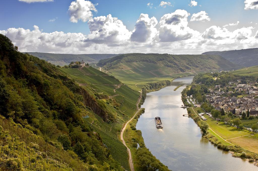 شقة Mosel Panorama زيل ان دير موسل المظهر الخارجي الصورة