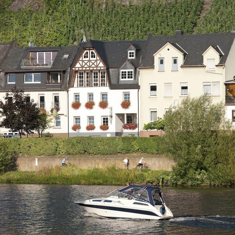 شقة Mosel Panorama زيل ان دير موسل المظهر الخارجي الصورة