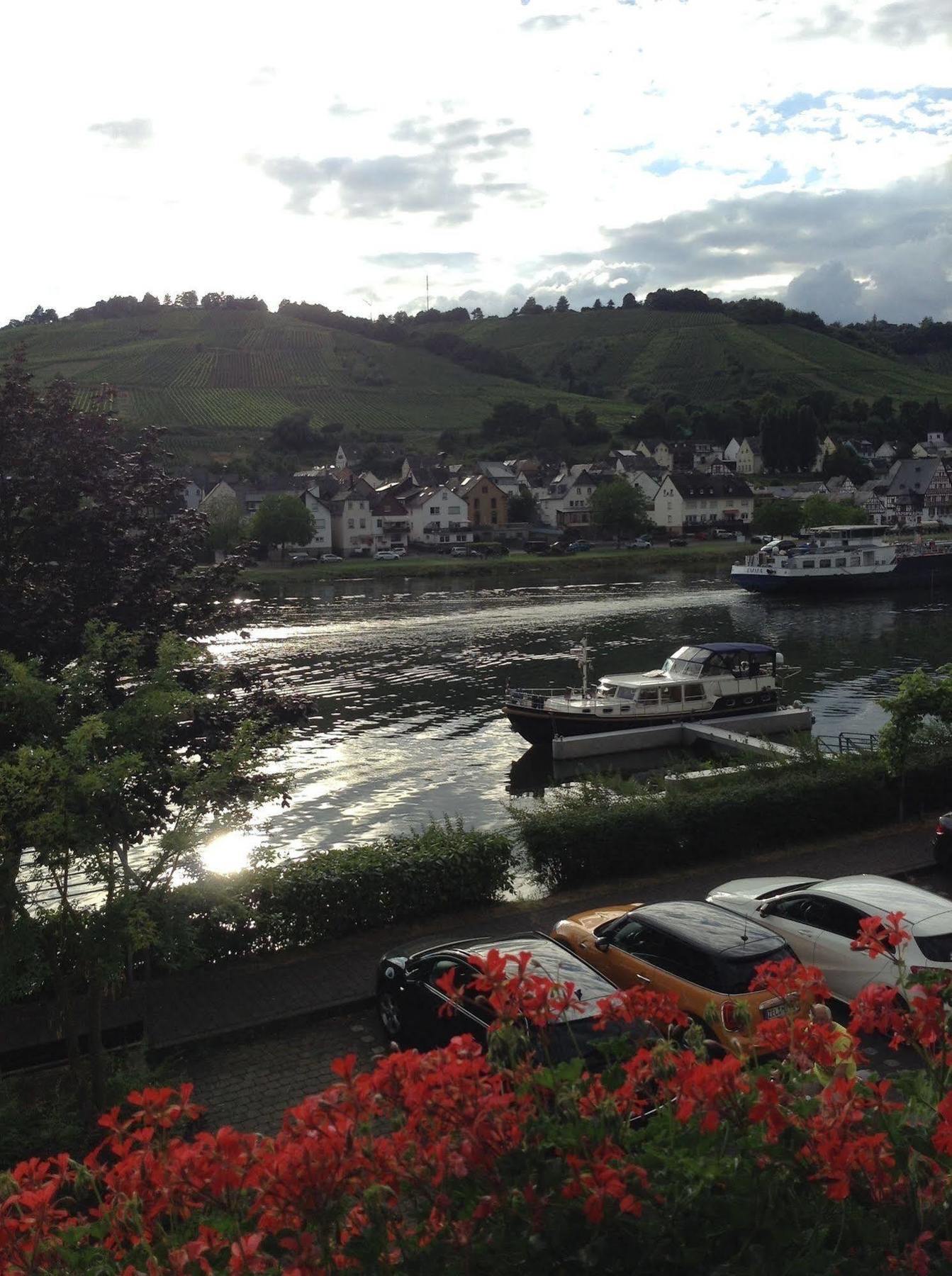 شقة Mosel Panorama زيل ان دير موسل المظهر الخارجي الصورة