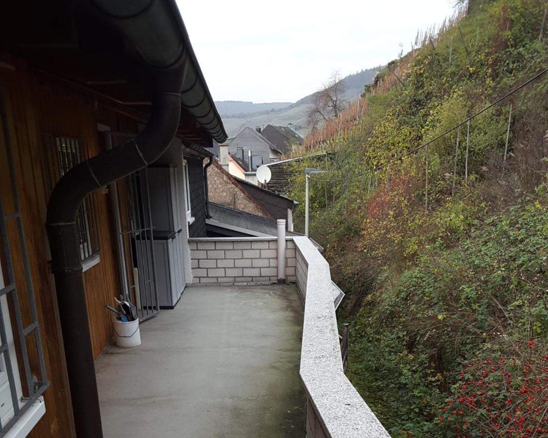 شقة Mosel Panorama زيل ان دير موسل المظهر الخارجي الصورة
